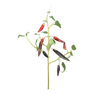 Kunstig Chili L: 50 cm.