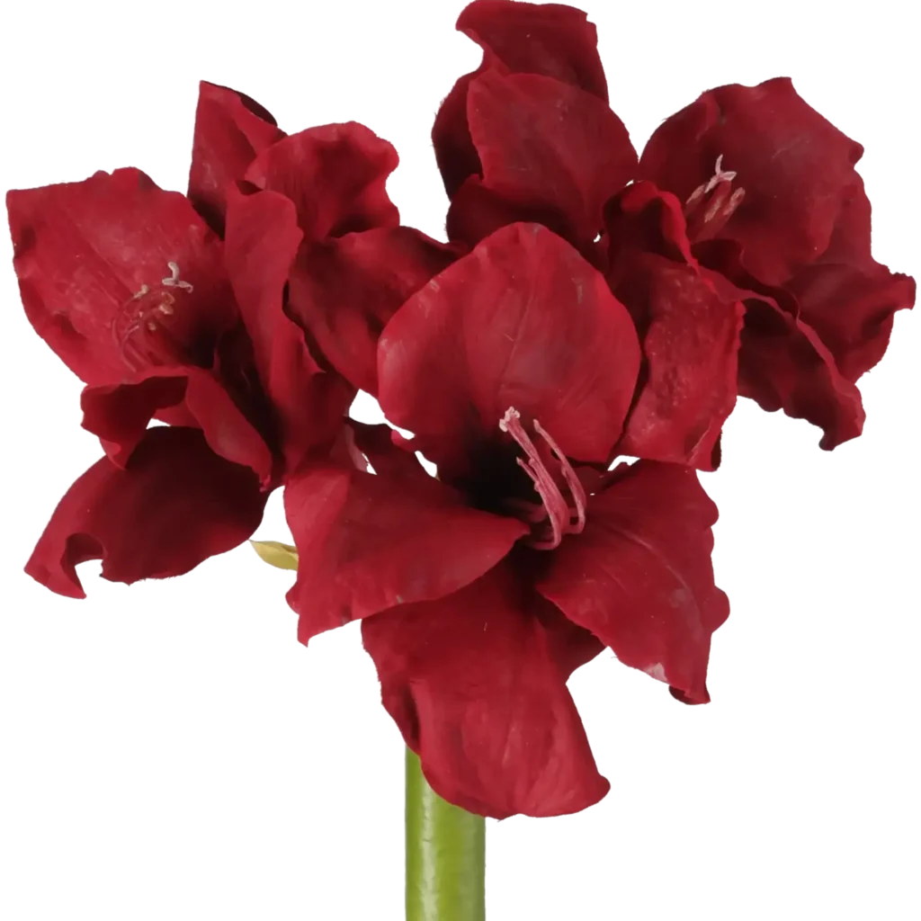 Closeup af Kunstig Amaryllis L: 75 cm.