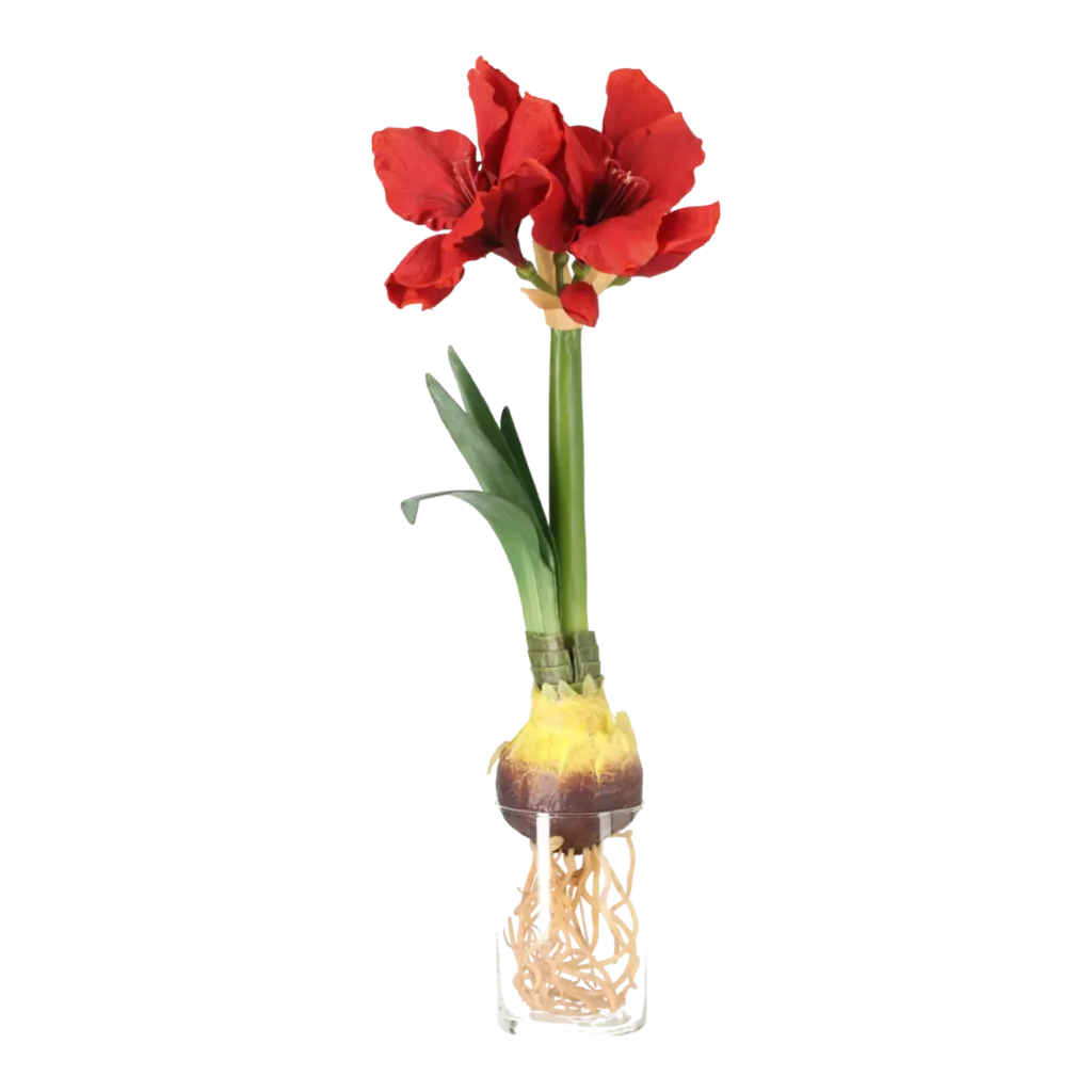 Kunstig Amaryllis m. rod L: 50 cm.
