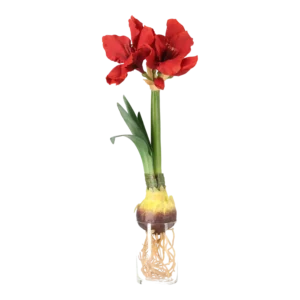 Kunstig Amaryllis m. rod L: 50 cm.