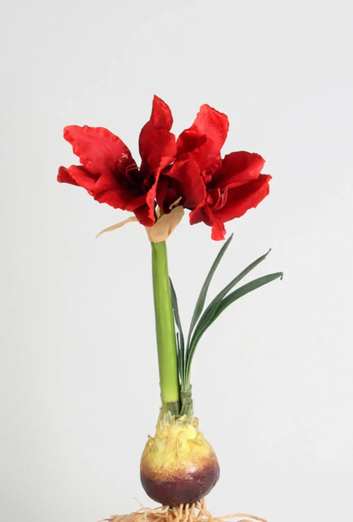 Kunstig Amaryllis m. rod L: 50 cm.