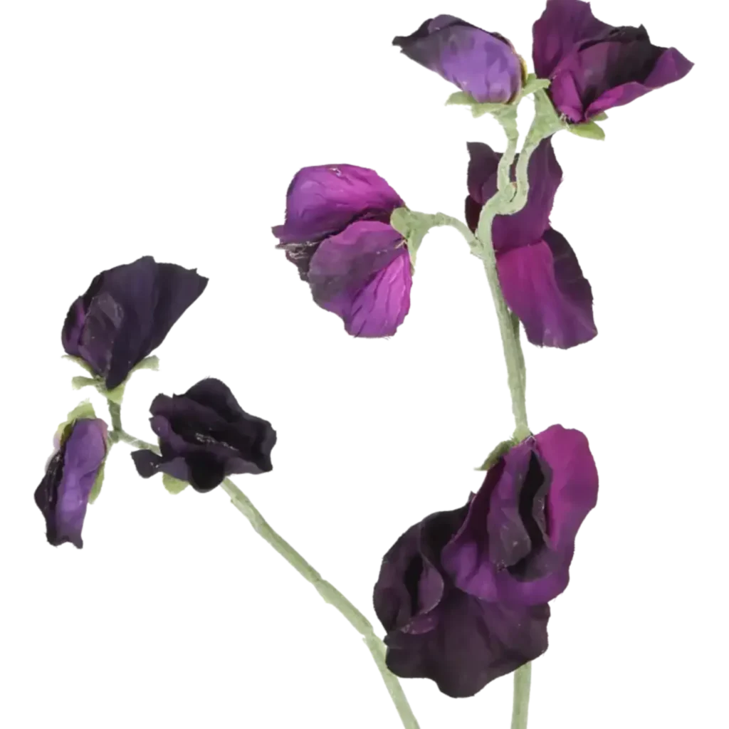 Closeup af Kunstig ærteblomst stilk i mørk lilla - L: 42 cm.