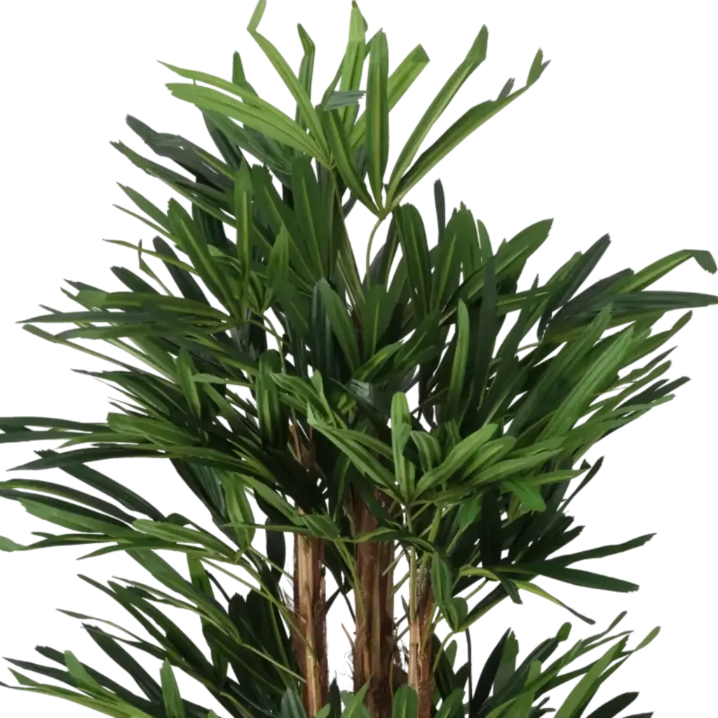 Closeup af Kunstig Rhaphis palme H: 140 cm.