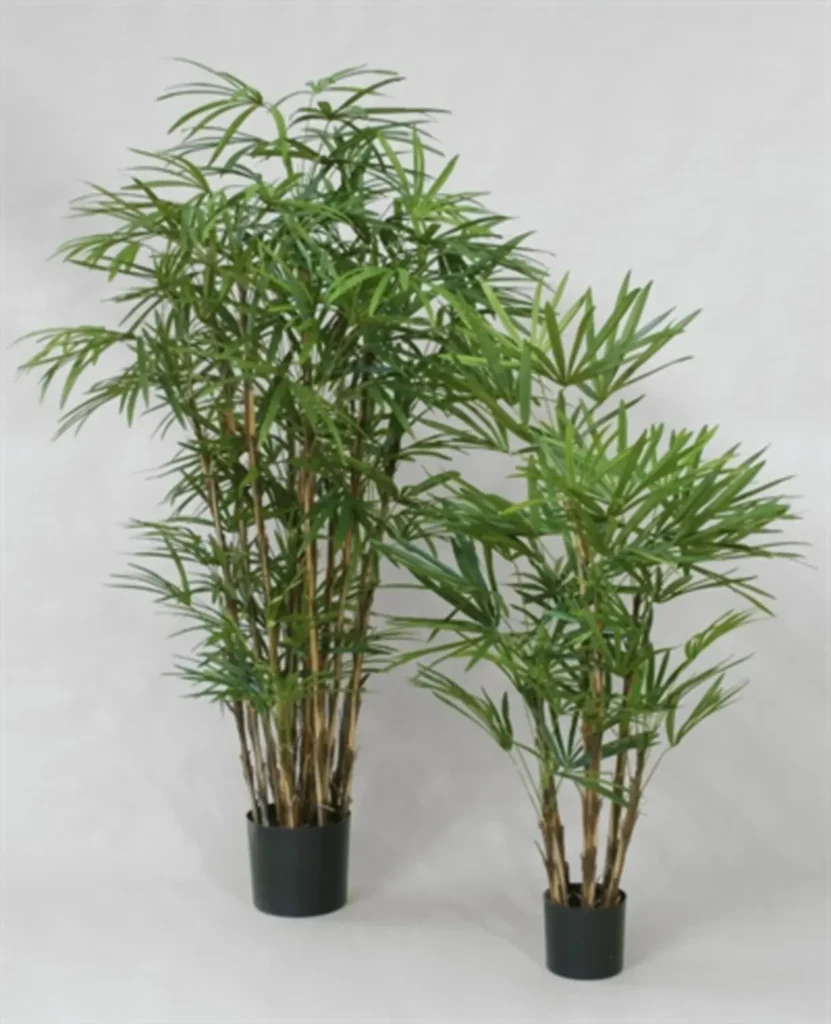 Kunstig Rhapis palme H: 200 cm.