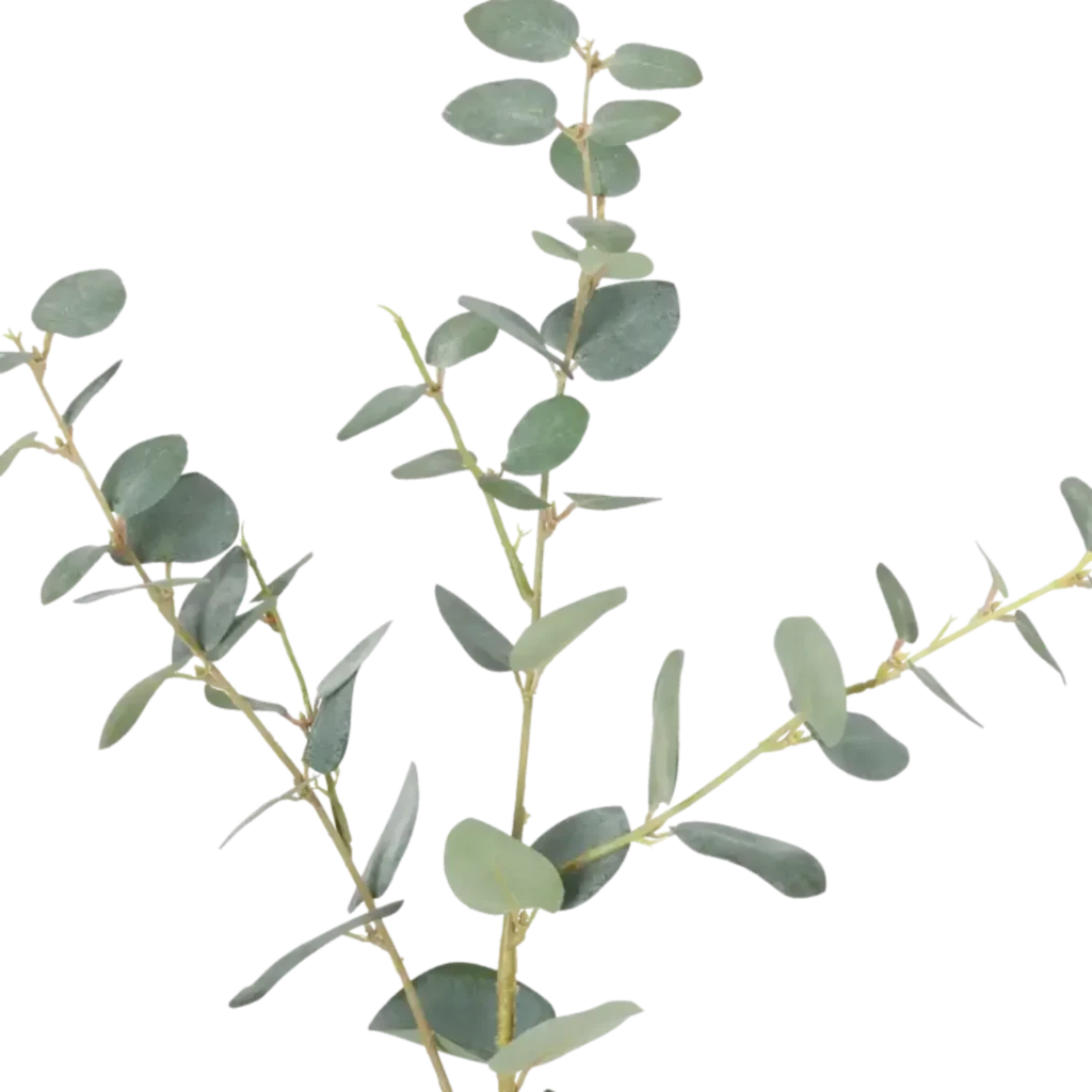 Closeup af Kunstig eukalyptus stilk i grøn - L: 80 cm.