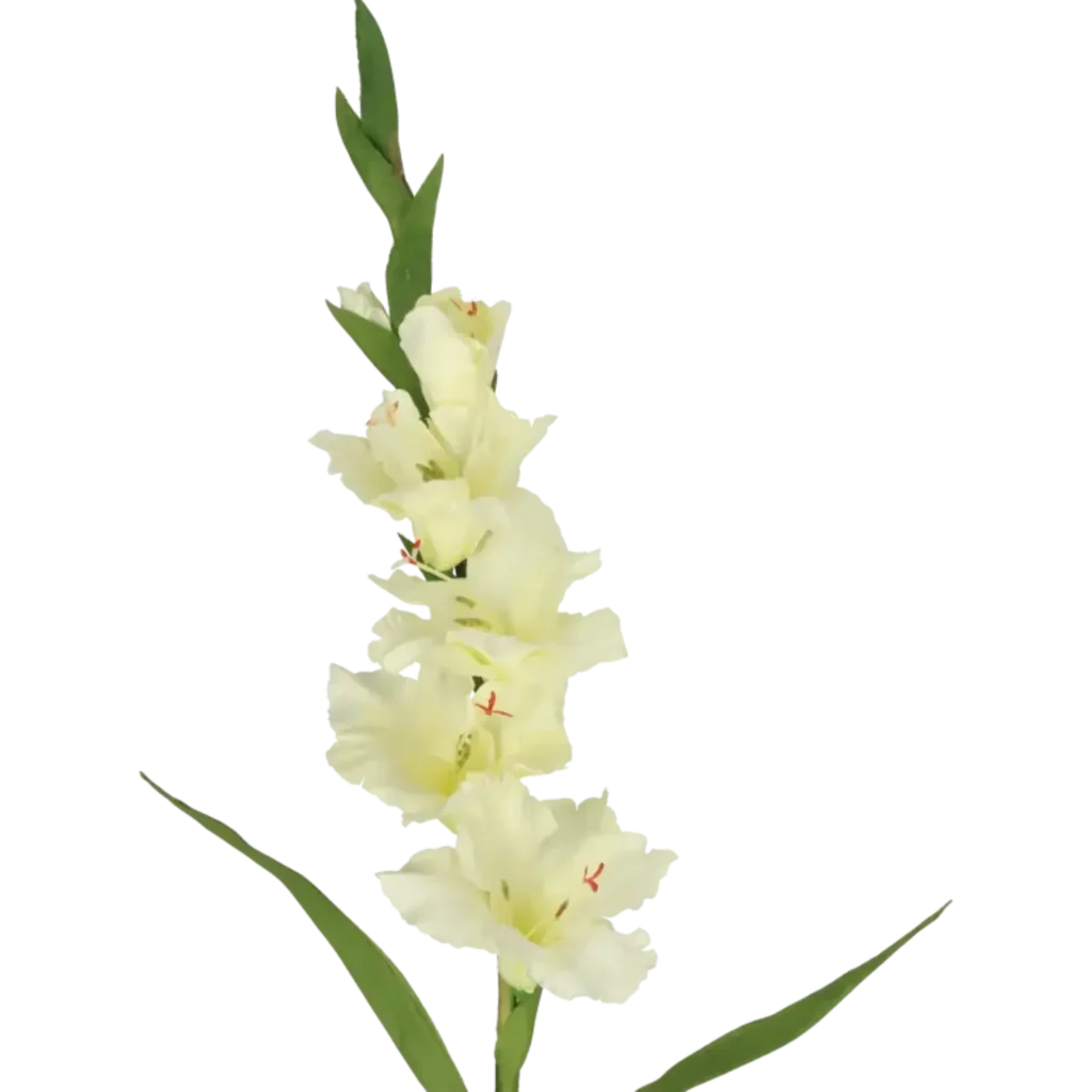Closeup af Kunstig Gladiolus L: 75 cm.