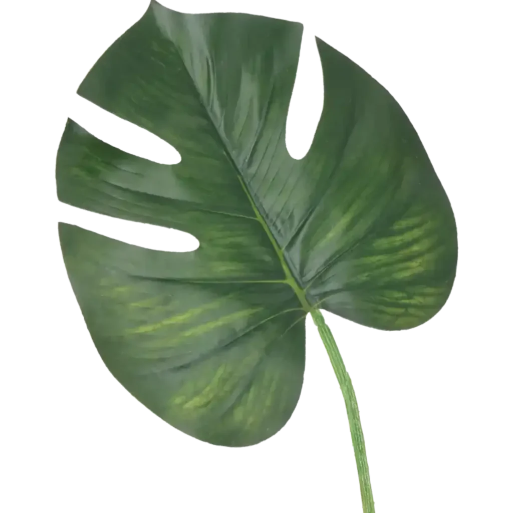 Closeup af Kunstig Monstera blad L: 60 cm.