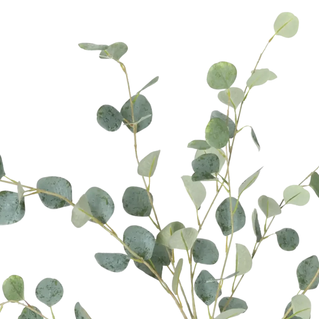 Closeup af Kunstig Eukalyptus L: 120 cm.