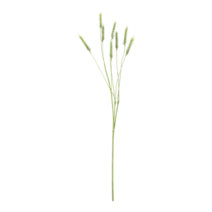 Kunstig hvede stilk x 8 i grøn - L: 98 cm.
