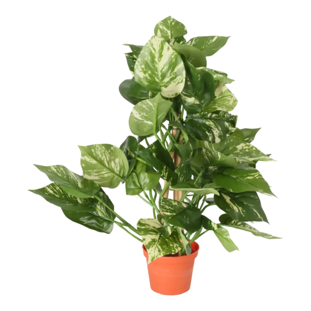 Kunstig Pothos H: 42 cm.