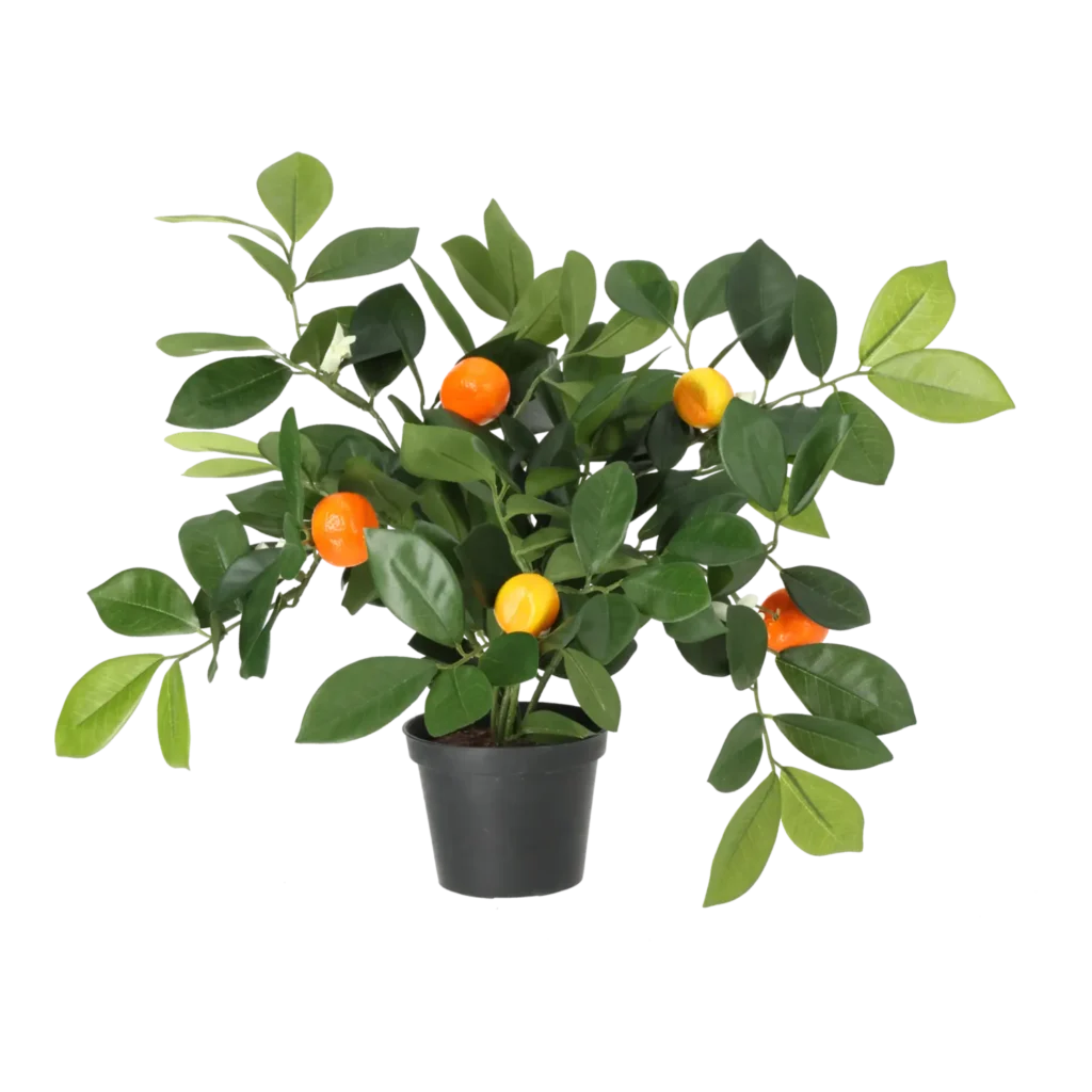 Kunstig Citrusplante H: 32 cm.