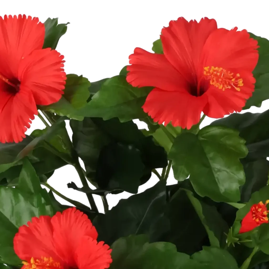 Closeup af Kunstig hibiscus rød H: 42 cm.