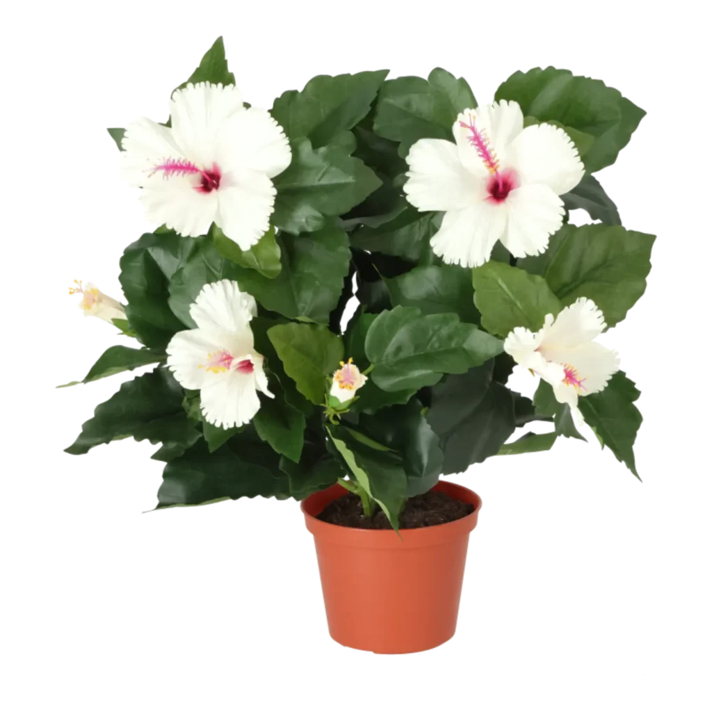 Kunstig hibiscus beige - H: 42 cm.