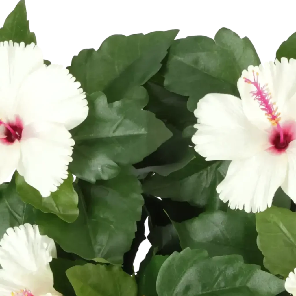 Closeup af Kunstig hibiscus beige H: 42 cm.