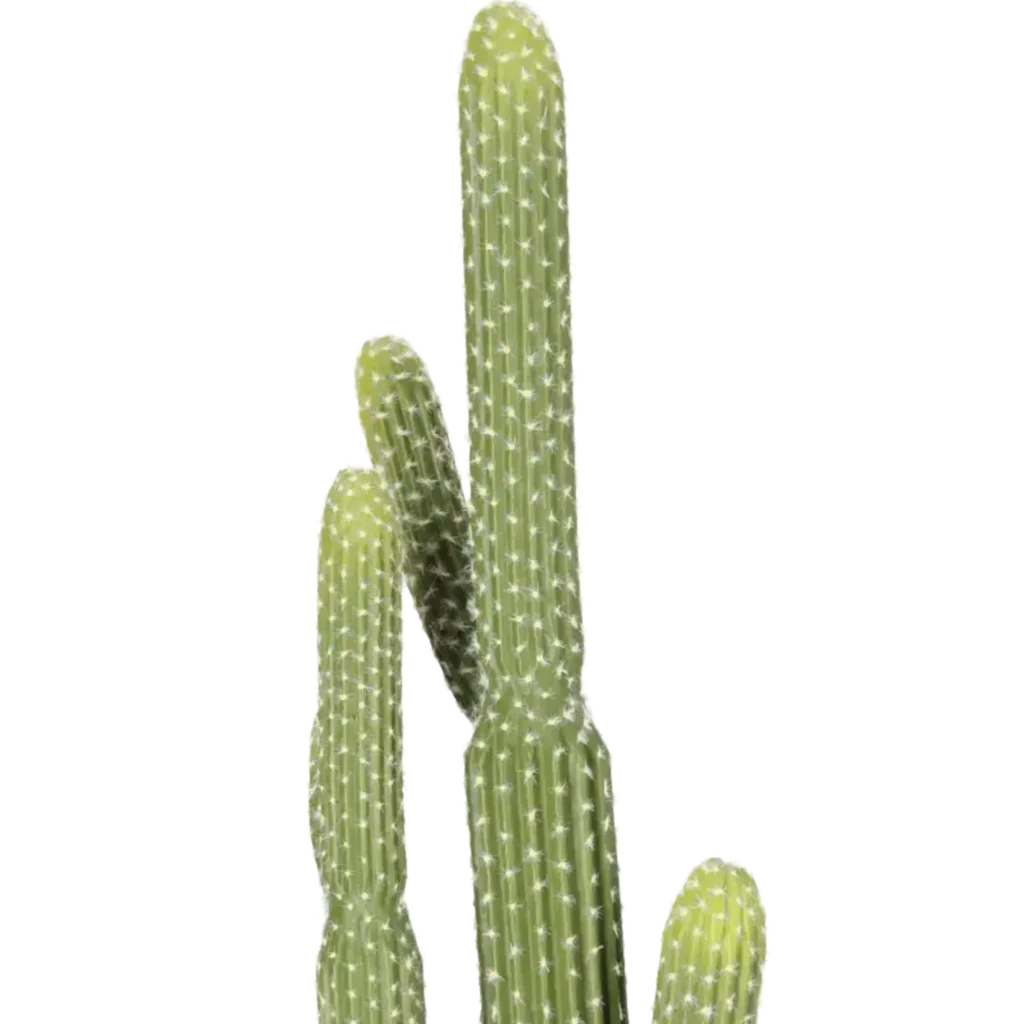 Closeup af Kunstig Søjlekaktus H: 91 cm.