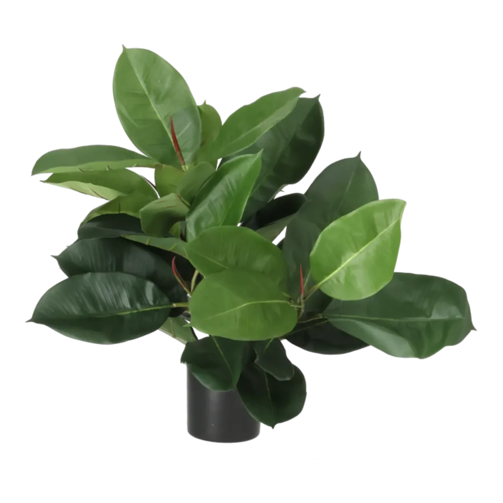 Kunstig Gummiplante H: 51 cm.