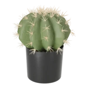 Kunstig Kaktus H: 25 cm.