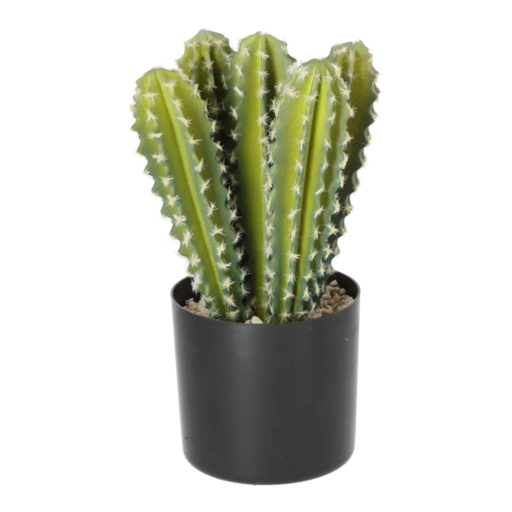 Kunstig Kaktus H: 31 cm.