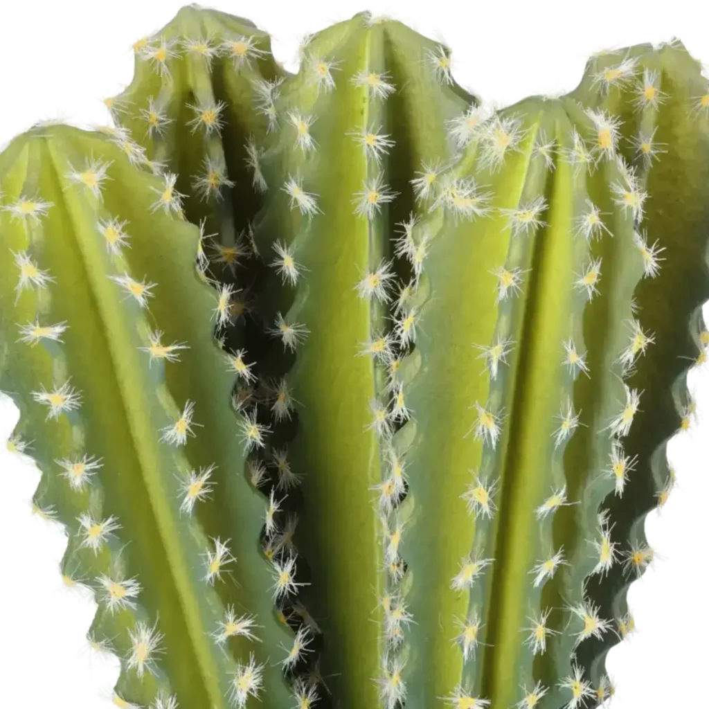 Closeup af Kunstig Kaktus H: 31 cm.