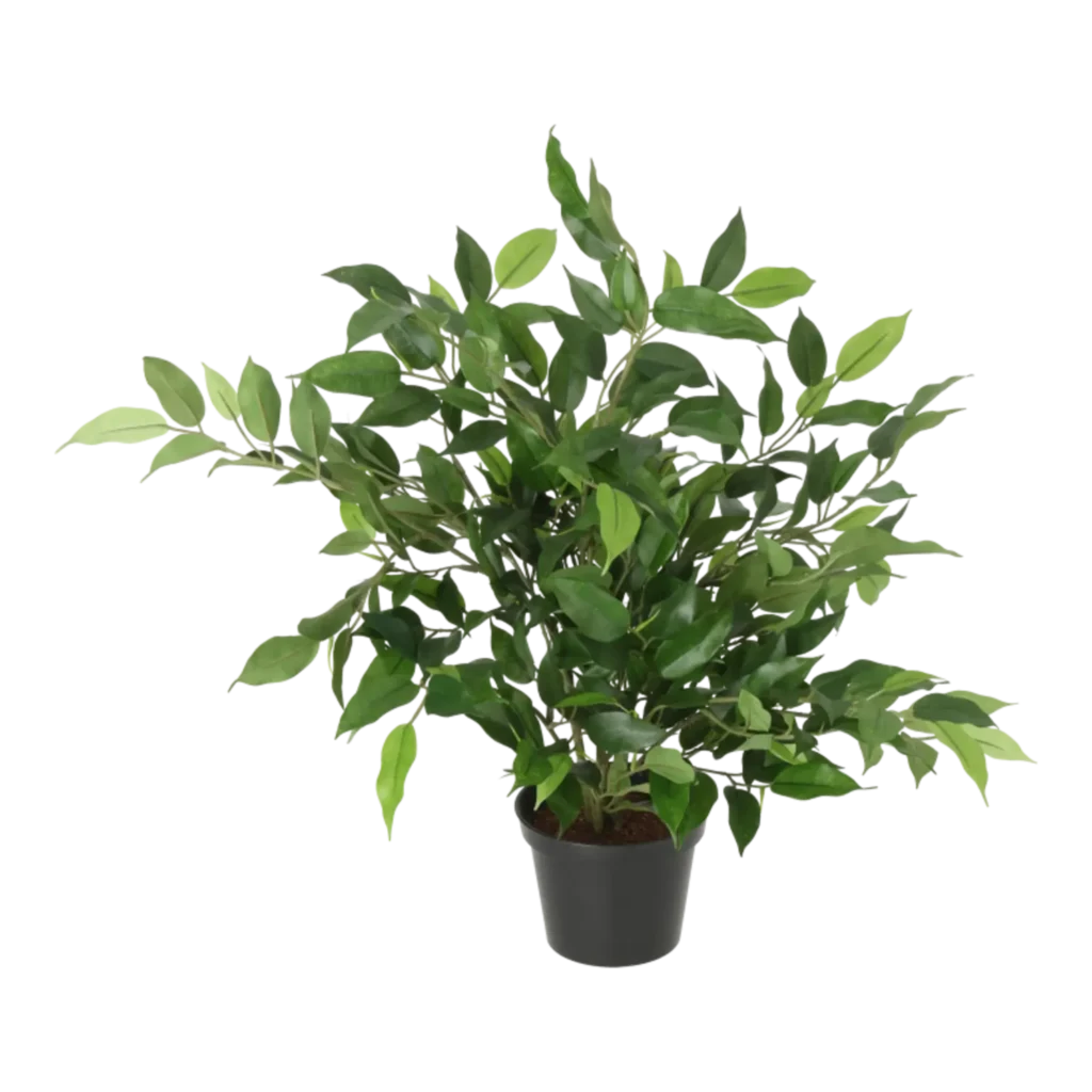 Kunstig Ficus Natasja H: 31 cm.