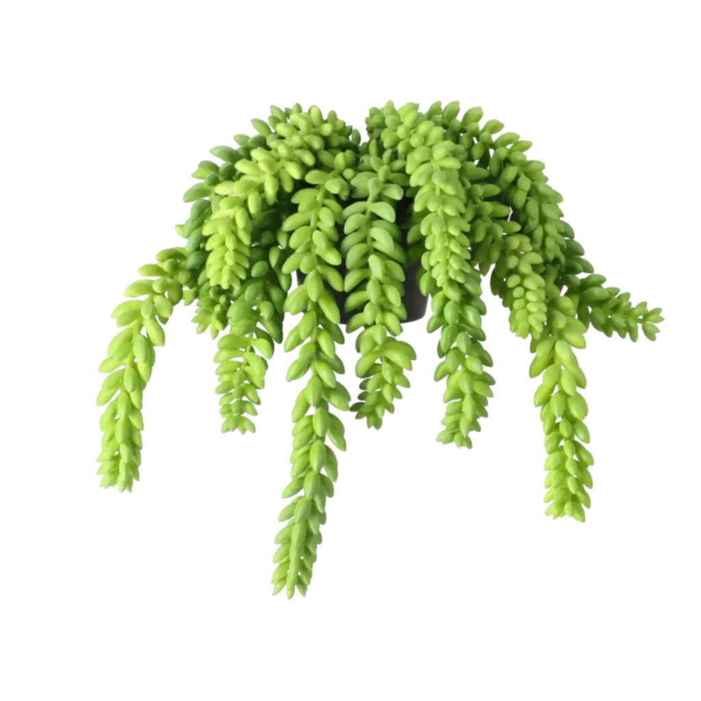 Kunstig Sedum Rupestre L: 14 cm.