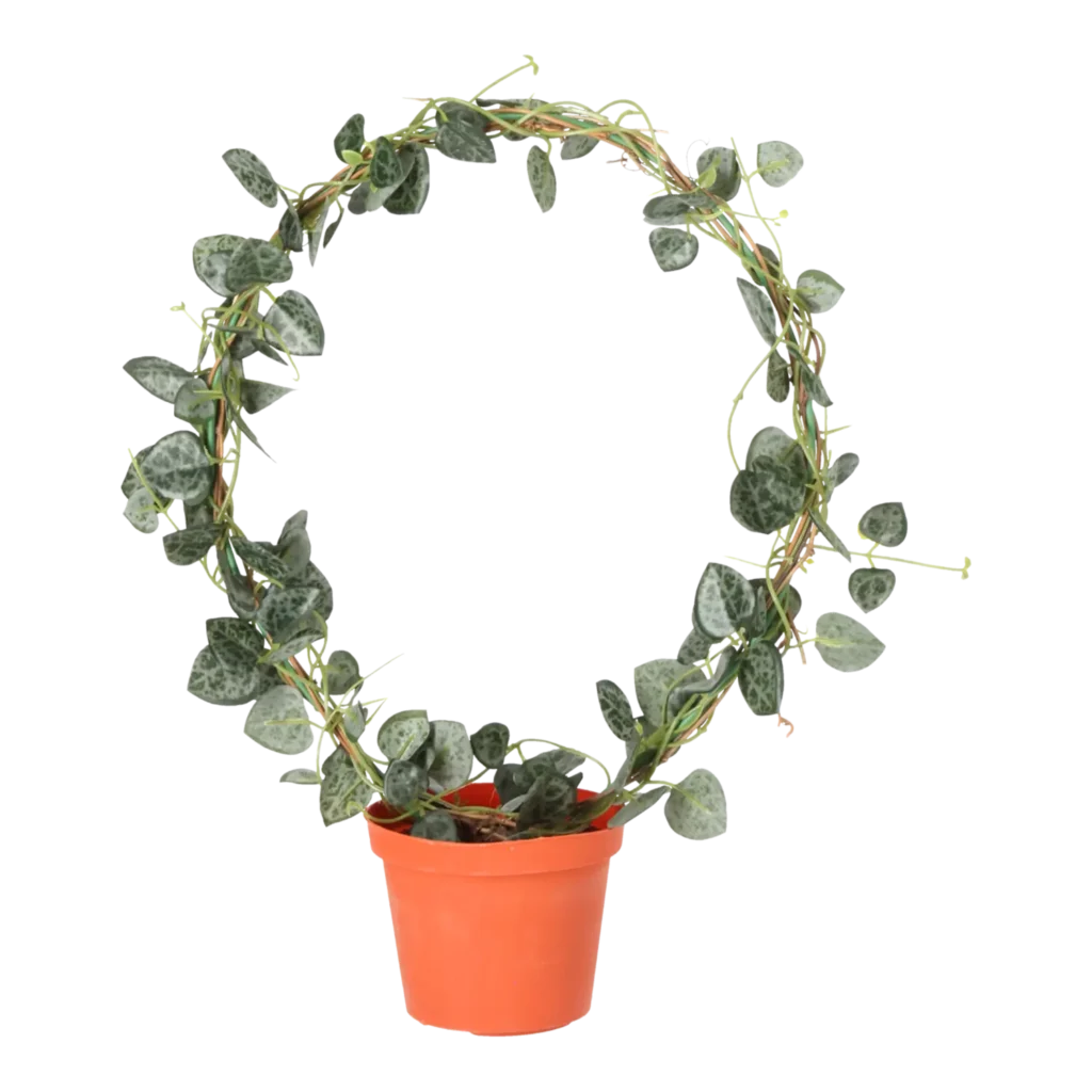 Kunstig Hjerteranke ring H: 28 cm.