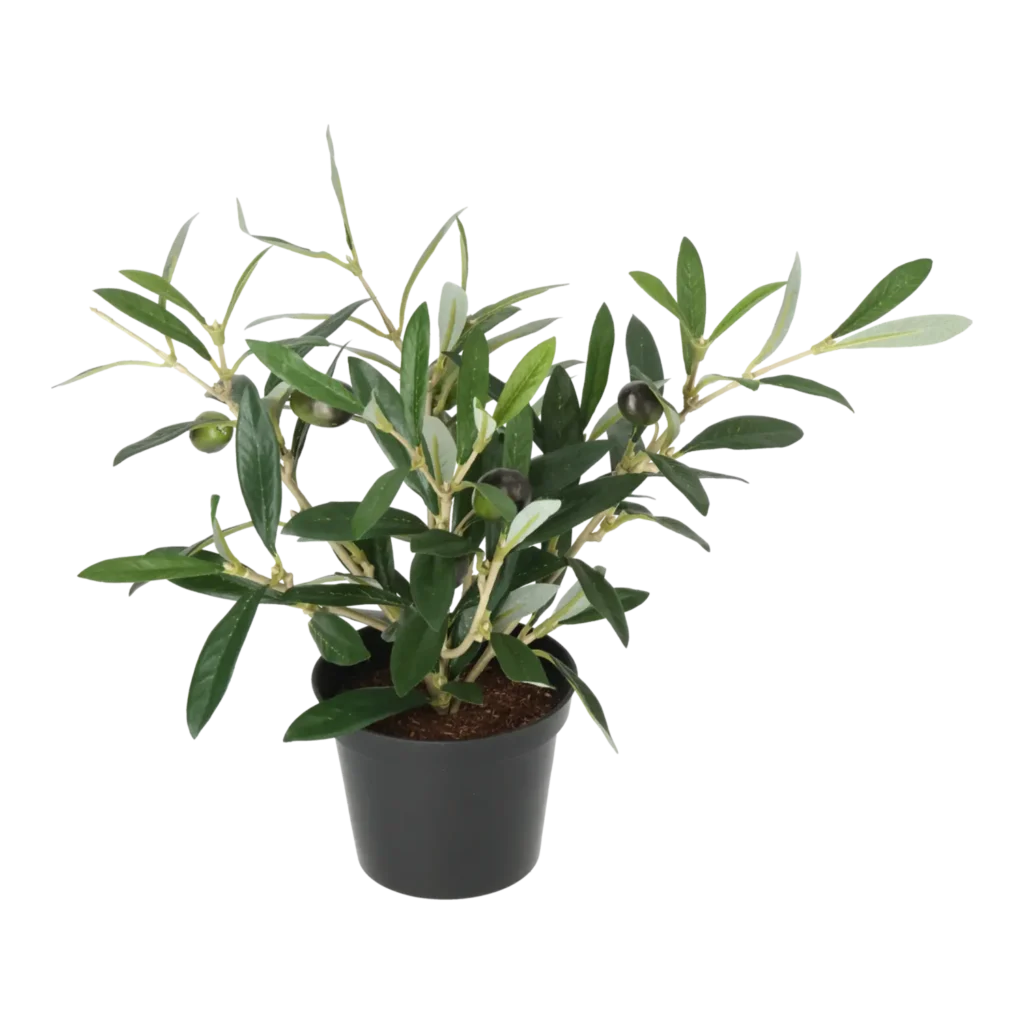 Kunstig oliven busk - H: 30 cm.