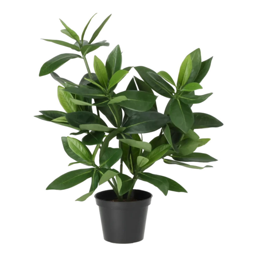 Kunstig Guava H: 38 cm.