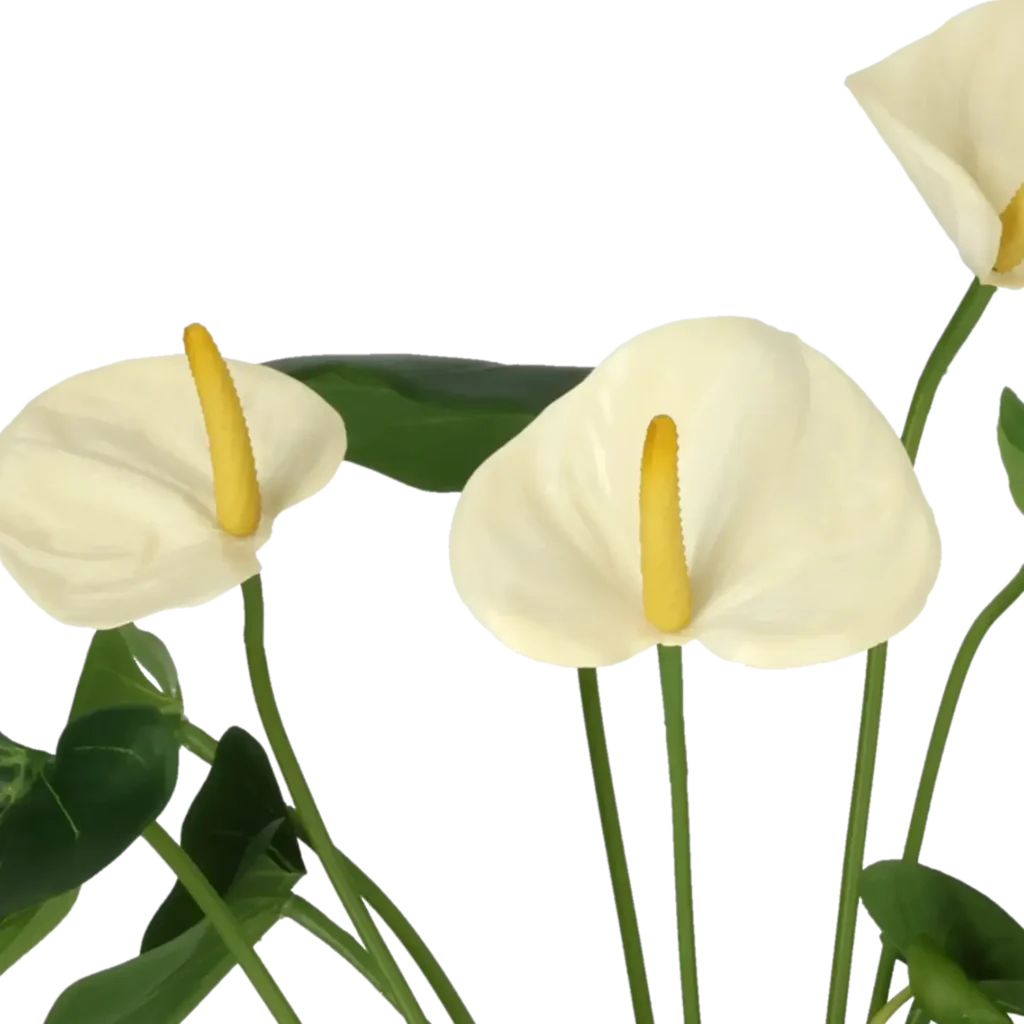 Closeup af Kunstig Anthurium H: 42 cm.