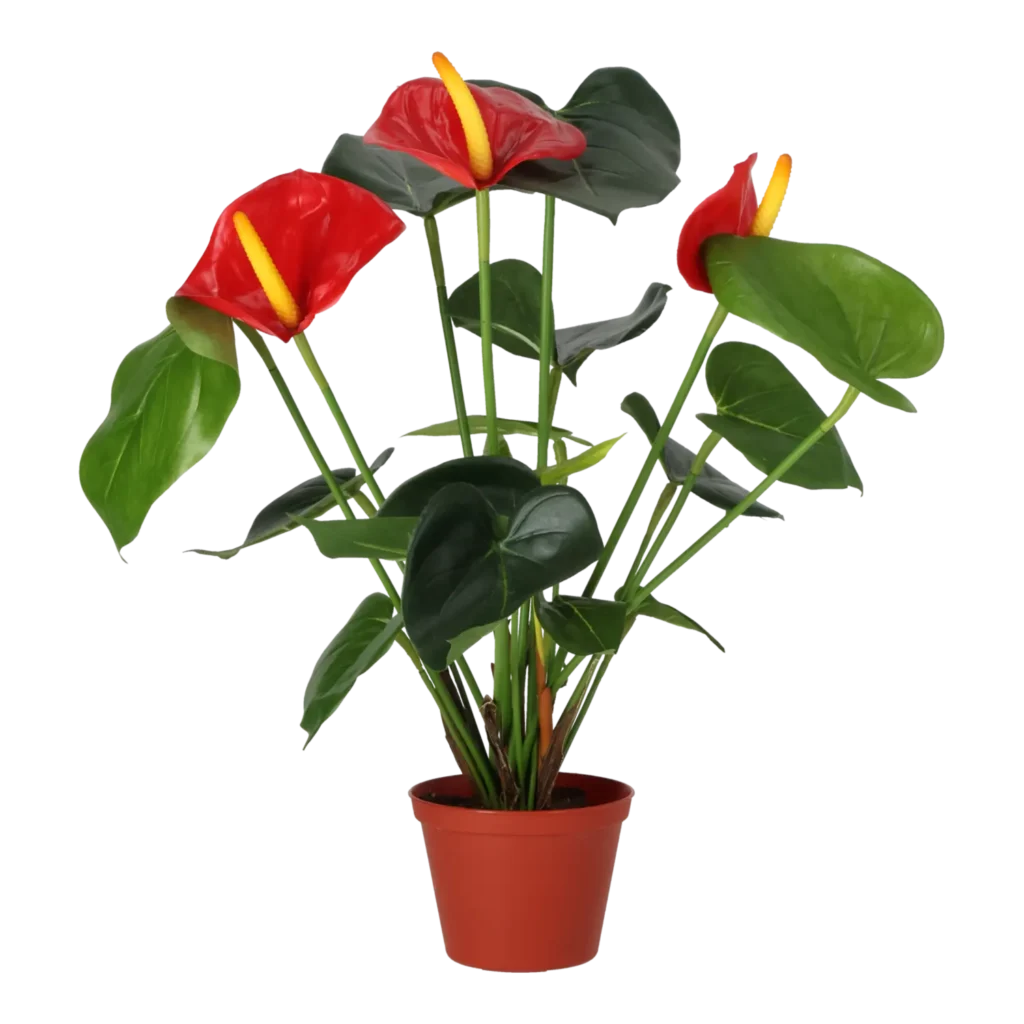Kunstig Anthurium H: 42 cm.