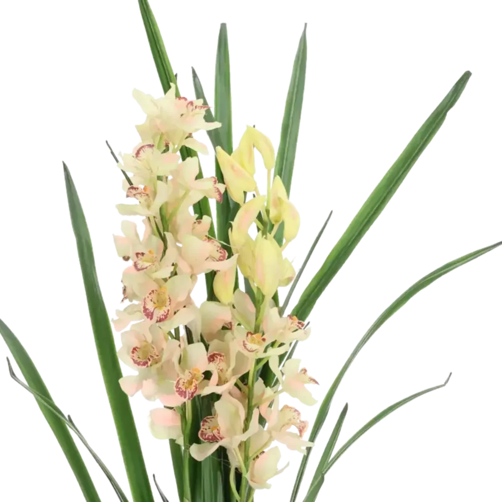 Closeup af Kunstig Cymbidium H: 115 cm.
