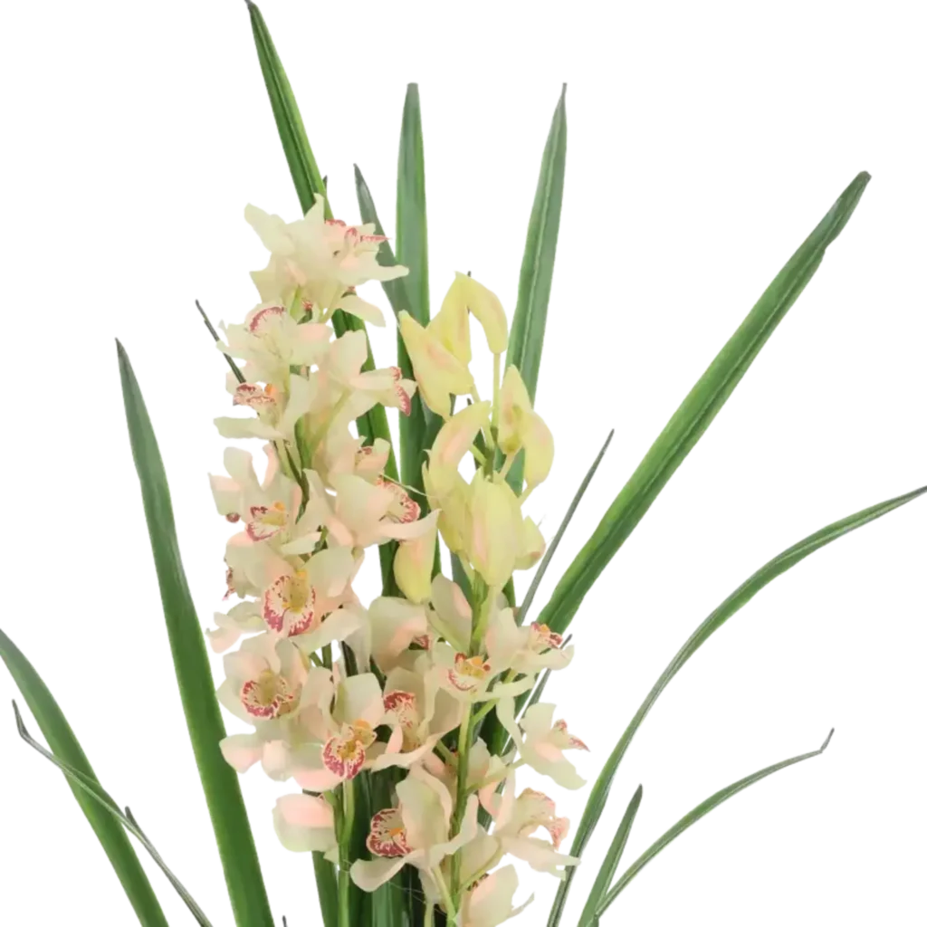 Closeup af Kunstig Cymbidium H: 115 cm.