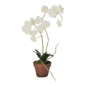Kunstig creme orkidé H: 65cm.