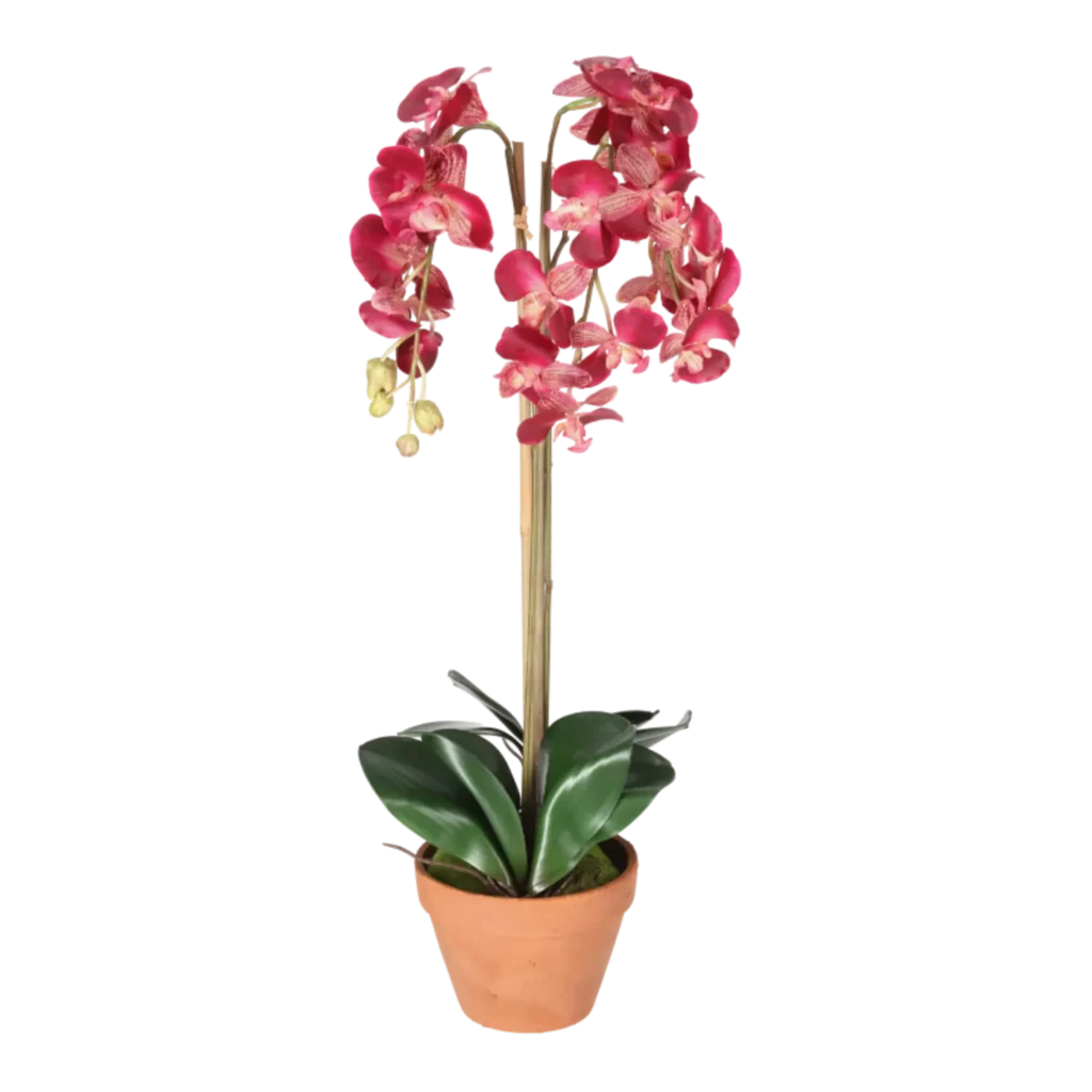 Kunstig Orkidé H: 75 cm.