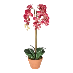 Kunstig Orkidé H: 75 cm.