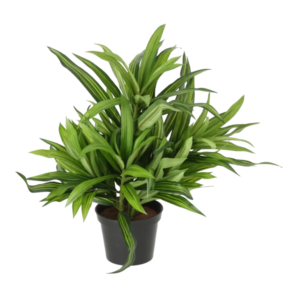 Kunstig Dracena H: 34 cm.