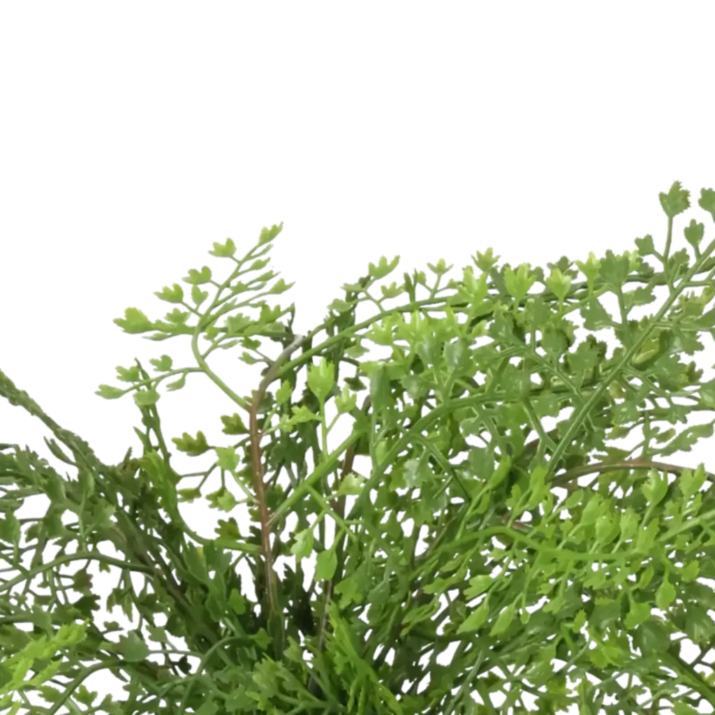 Closeup af Kunstig Adiantum H: 30 cm.
