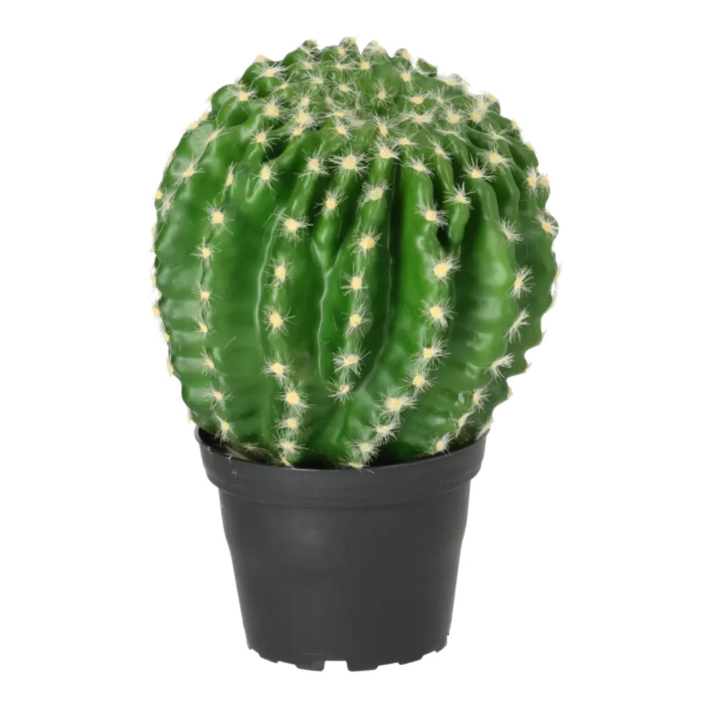 Kunstig Kaktus rund H: 23 cm.