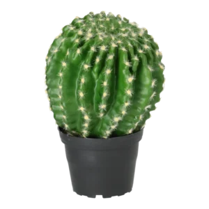 Kunstig Kaktus rund H: 23 cm.