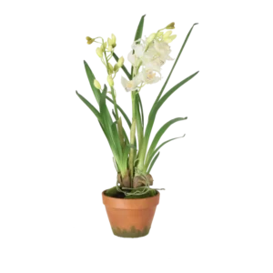 Kunstig Cymbidium H: 68 cm.