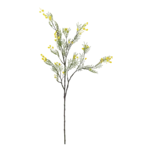 Kunstig Mimosa L: 110 cm.