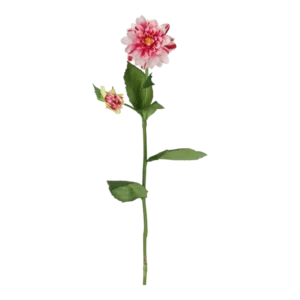 Kunstig hvid/lyserød Dahlia stilk - L: 65 cm.
