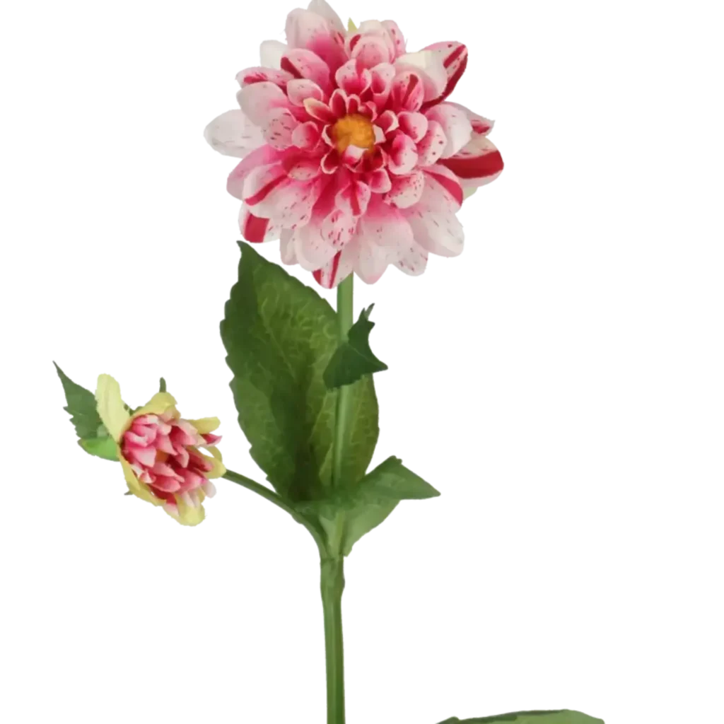 Closeup af Kunstig hvid/lyserød Dahlia stilk - L: 65 cm.