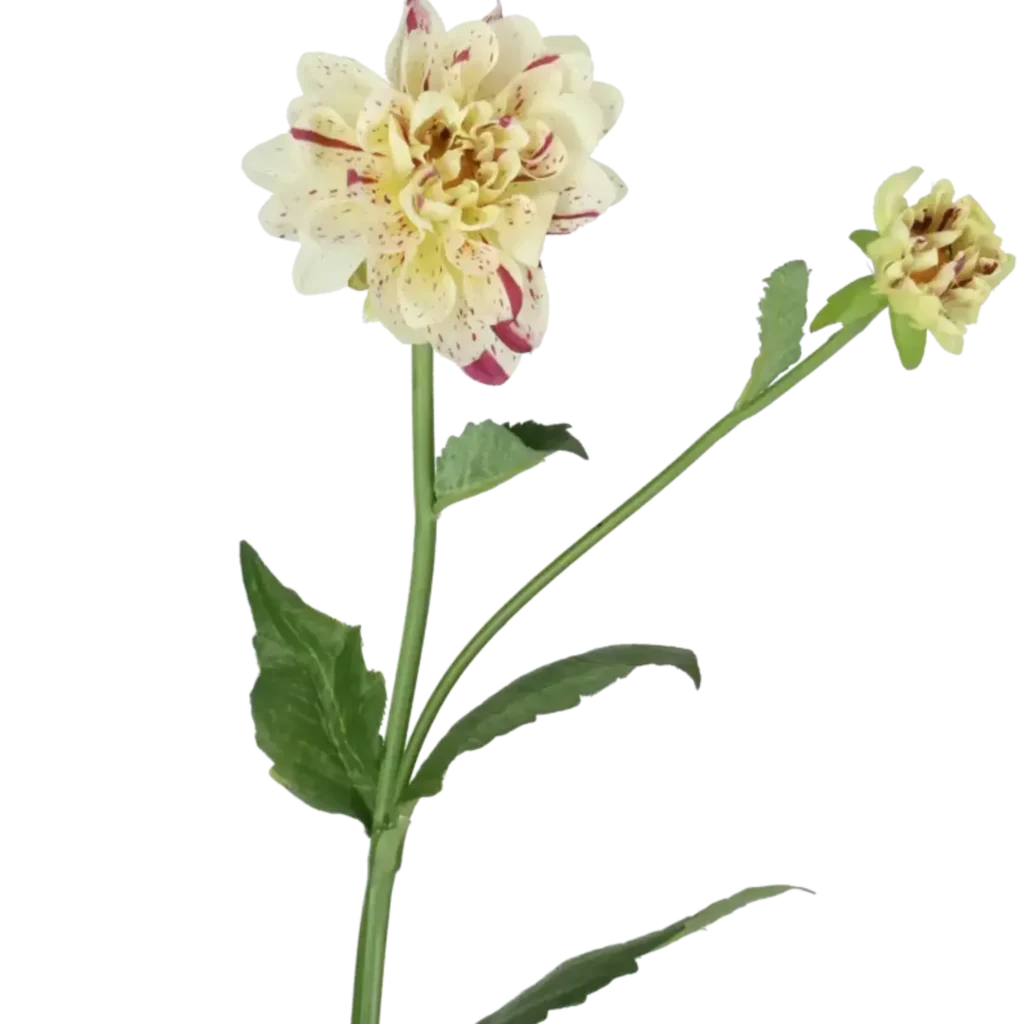 Closeup af Kunstig hvid/lilla Dahlia stilk - L: 65 cm.