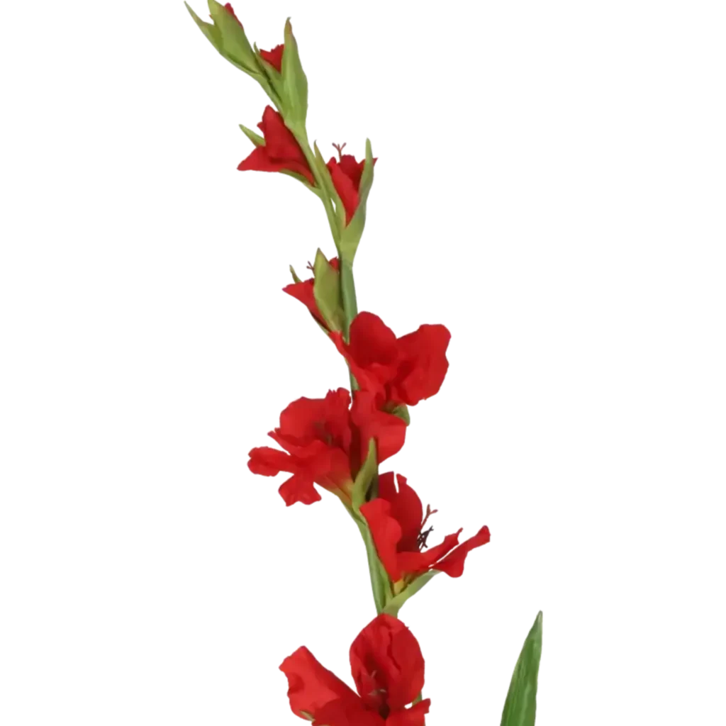 Closeup af Kunstig Gladiolus L: 100 cm.