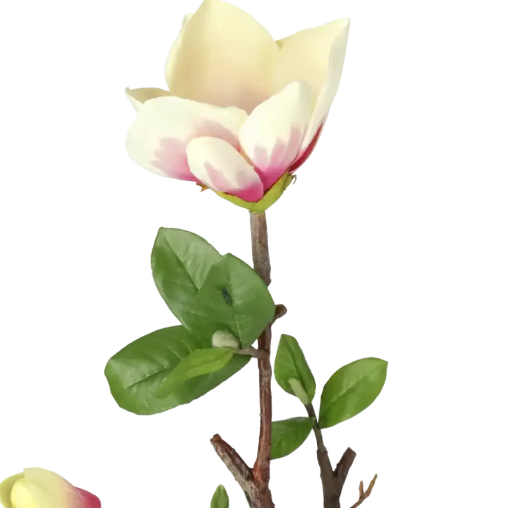Closeup af Kunstig Magnolia L: 70 cm.