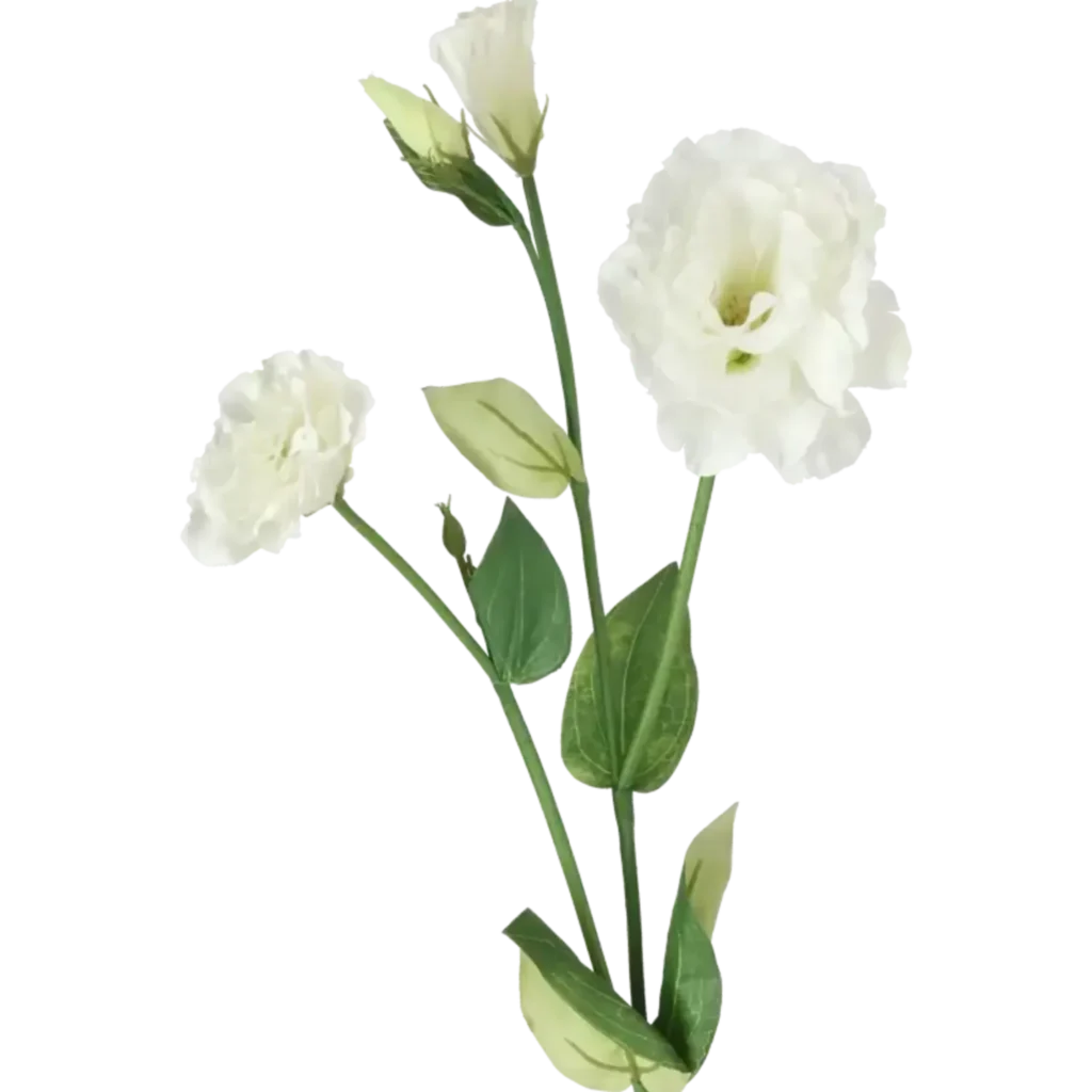 Closeup af Kunstig creme lisianthus stilk L: 75 cm.