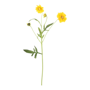 Kunstig krysantemum stilk i gul - L: 55 cm.