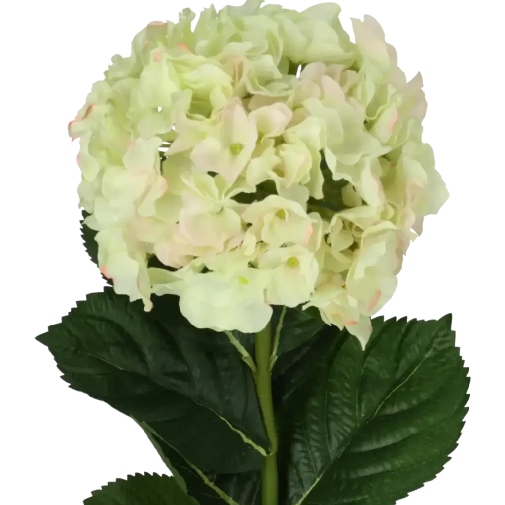 Closeup af Kunstig hortensia stilk i creme/lyserød - L: 50 cm.