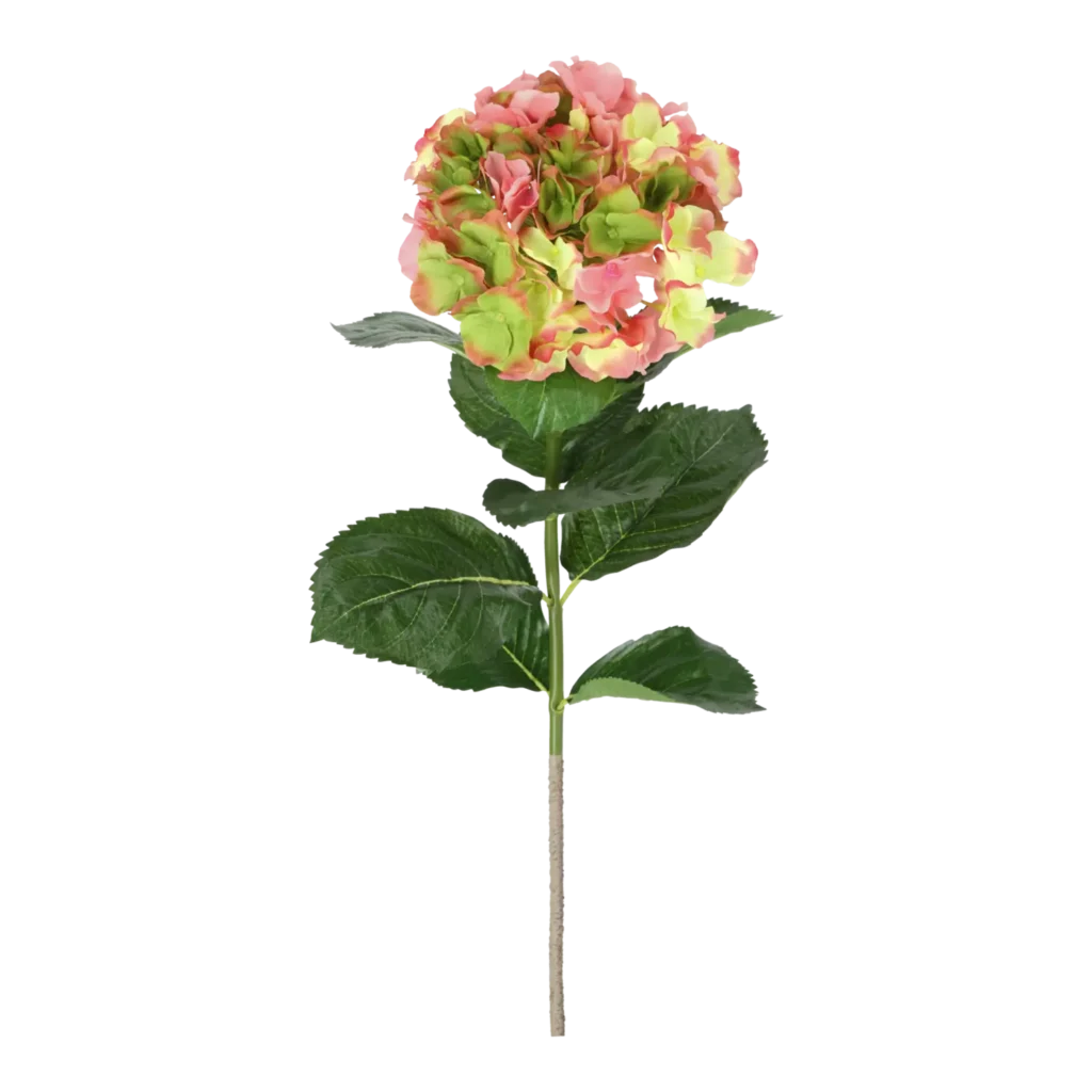Kunstig hortensia stilk i lyserød/lime - L: 50 cm.